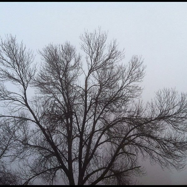 Emerson Elementary School Loring Park Minneapolis, MN