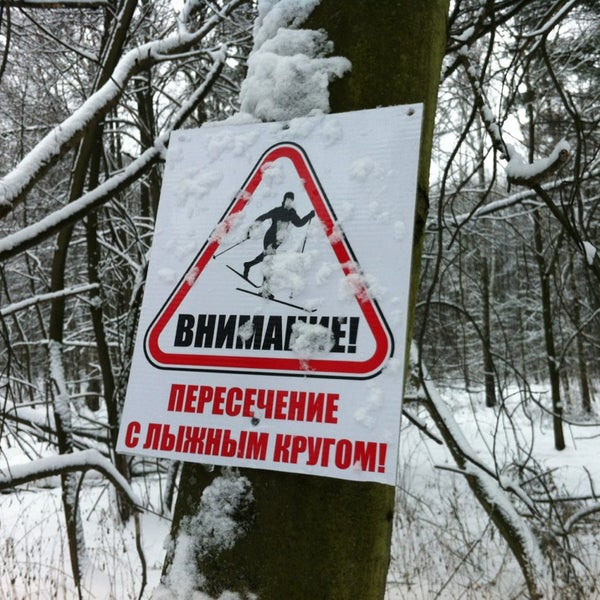 Фото: Лыжный клуб Волкуша, лыжная база, Московская область, Томилинский лесопарк