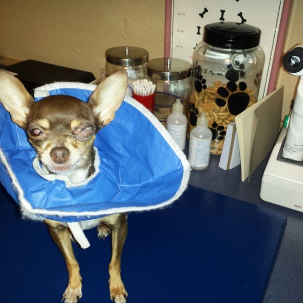 Austin Vet Care at Metric Austin, TX