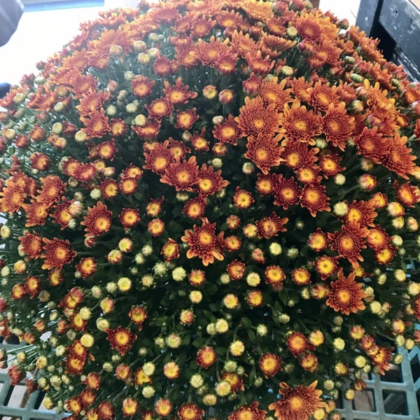 AbideAWhile Garden Center Garden Center