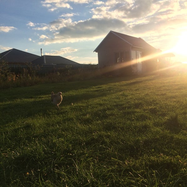 екатериновка липецкая область. ельцы деревня. россия тверская. деревня ельцы киржачского района храм. ельцы деревня.