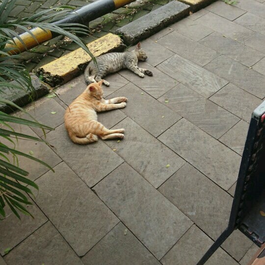 Photos at Rest Area KM 88A - 56 tips