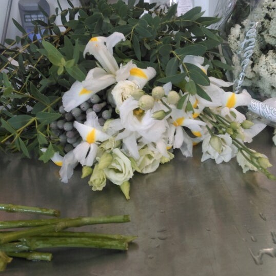 Сойка флаверс ул захарченко 12 отзывы. Сойка-пересмешница сьюзен коллинз книга. Сойка флаверс ул захарченко 12 отзывы. Галерея цветов нижний новгород. Коллинз сьюзен - сойка-пересмешница аудиокнига.