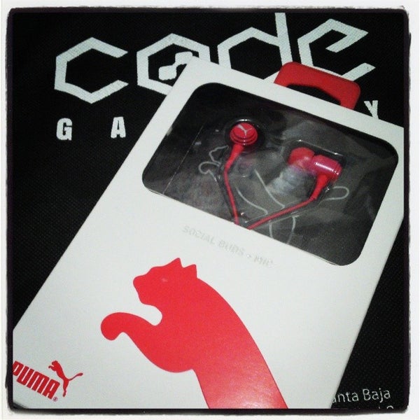 Catch the bunny gallery code. Catch the bunny gallery code