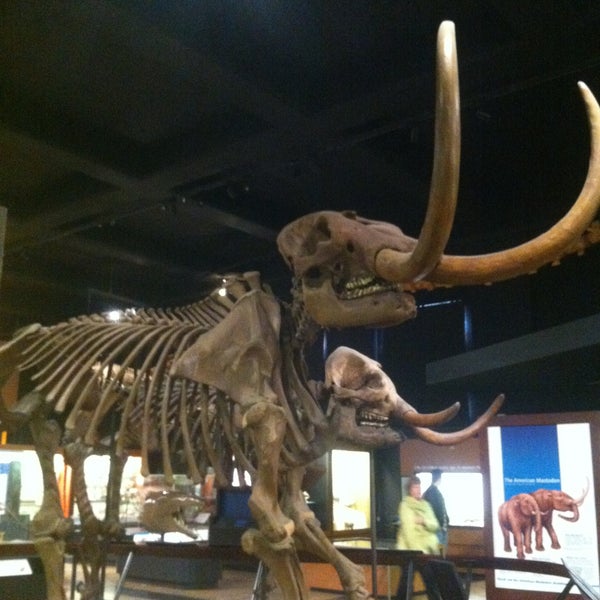 Photo taken at University of Michigan Museum of Natural History by Kaitlin on 5/12/2013