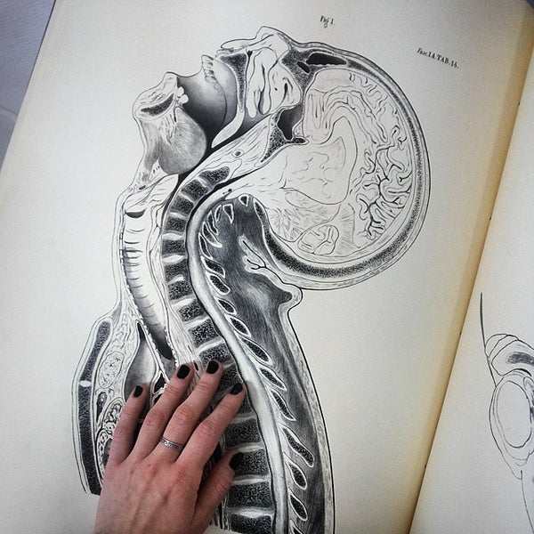 Институт графики и искусства. А фаворского. Институт графики и искусства книги имени в. Московский политех олимпиада искусства графики. В.