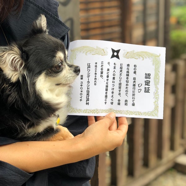 Photos At 忍者からす屋敷 Comedy Club