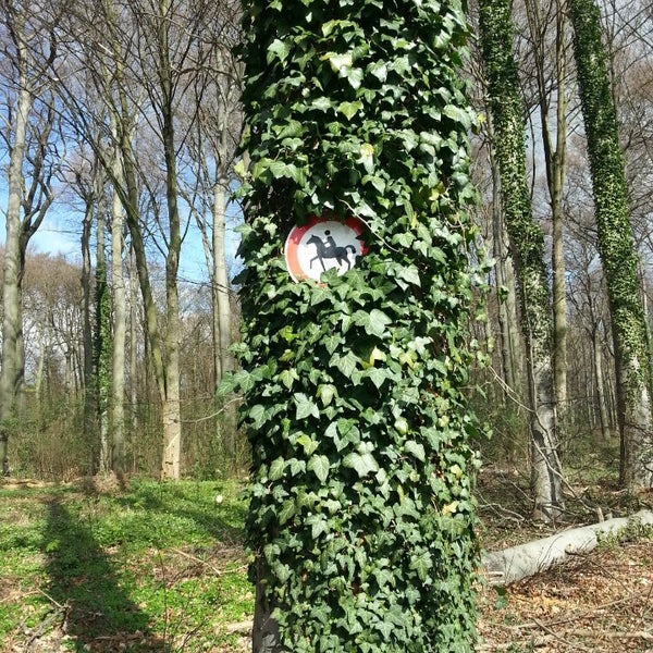 Zeche Minister Stein Historic and Protected Site in Eving