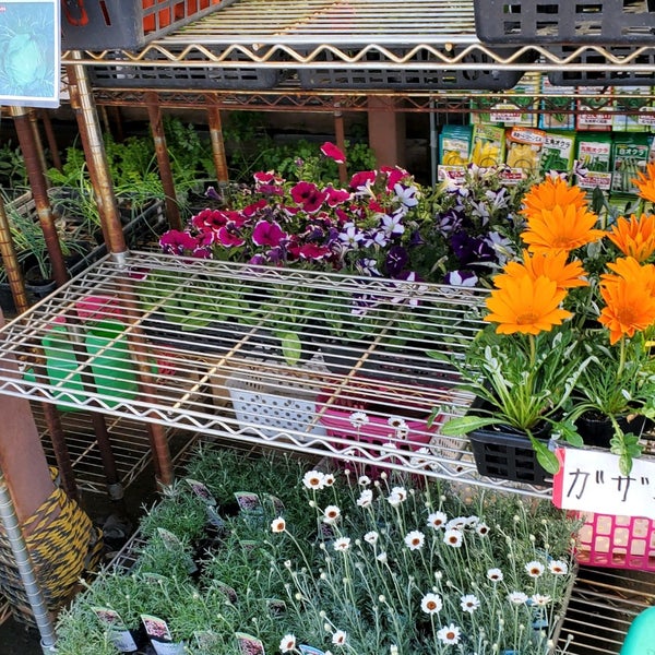 Photos At きくちのまんま 菊陽店 菊陽町 熊本県