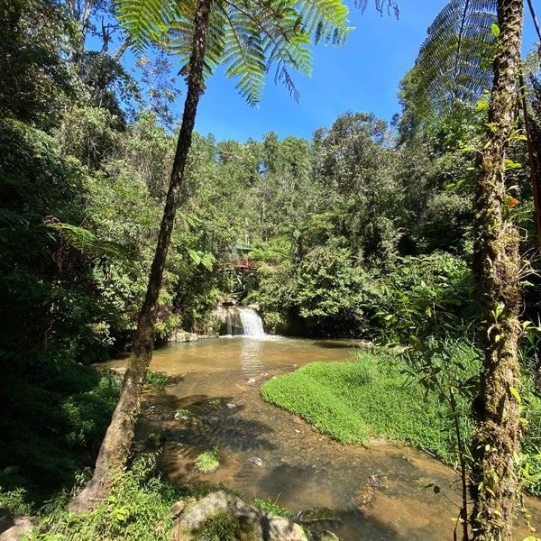 Hutan Lipur Parit Falls Cameron Highlands Cameron Highlands Pahang