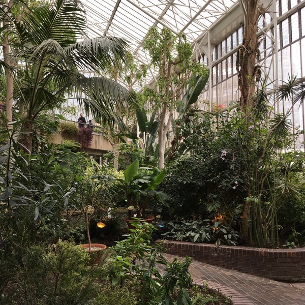 Barbican Conservatory - Botanical Garden in City of London
