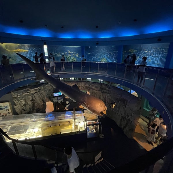 Photos At 水族館魚の国 Now Closed 三浦 三浦市 神奈川県 Photos At 水族館魚の国 Now Closed 三浦 三浦市 神奈川県