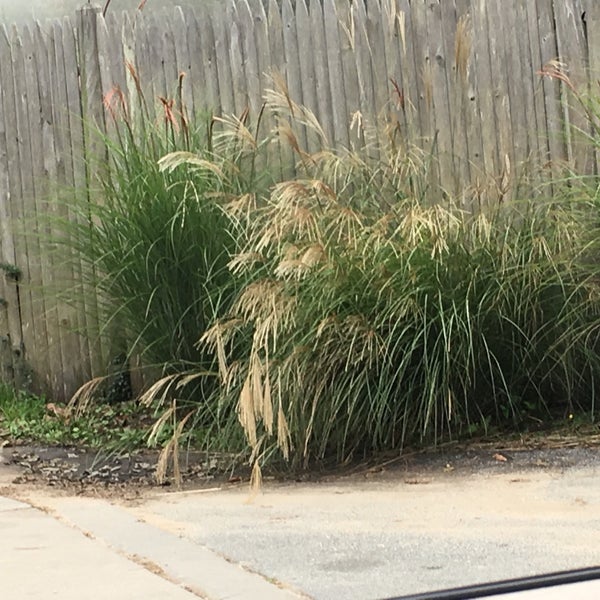 Up Island Automotive West Tisbury, MA