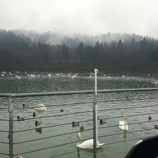 Photo taken at Zbiljsko jezero by Aleksandar J. on 2/28/2016