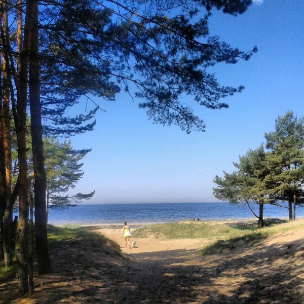 Сосново ручьи. Сосново ручьи. Сосново ручьи. Горная тайга южный урал. Беловежская пуща река лесная.