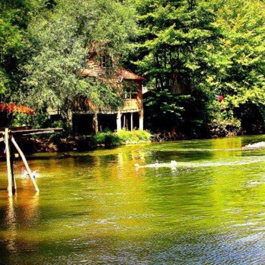 Nehir Evi Rafting Düzce, Cumayeri