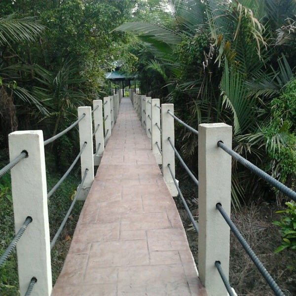 Air Hitam Dalam Educational Recreational Forest 4 Tips