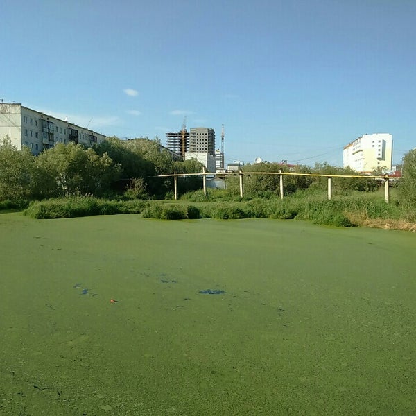 Родник офицерское озеро. Солдатское озеро пенза. Солдатское озеро пенза. Солдатский родник пенза. Солдатское озеро пенза.