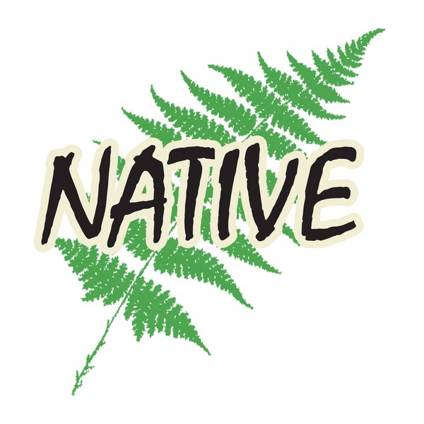 Native design Native design