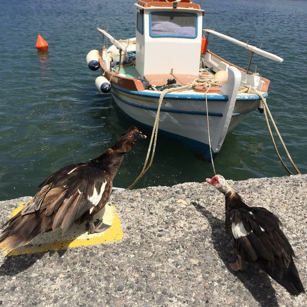 5/3/2016 tarihinde Oleksandr P.ziyaretçi tarafından Yalos Santorini'de çekilen fotoğraf