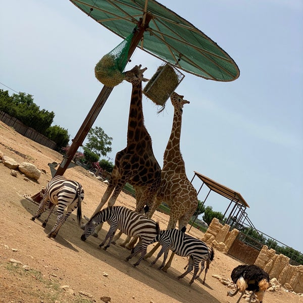 Foto diambil di Attica Zoological Park oleh Chris K. pada 6/20/2020
