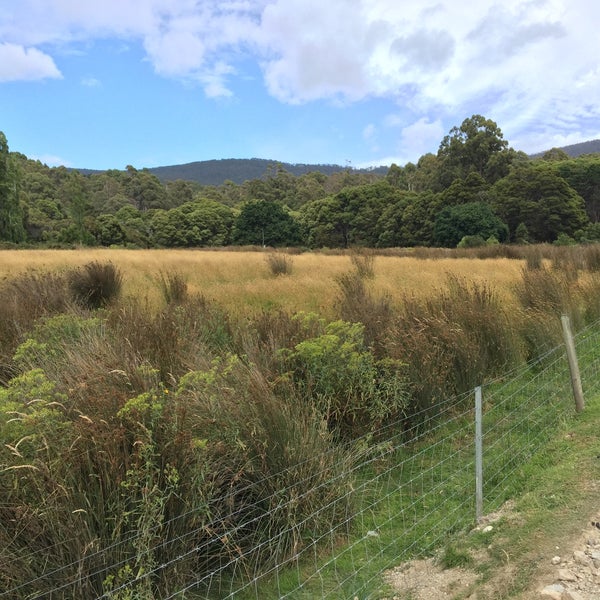 Bruny Island Berry Farm 3 tips