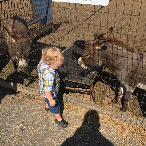 Sissy Island Petting Zoo