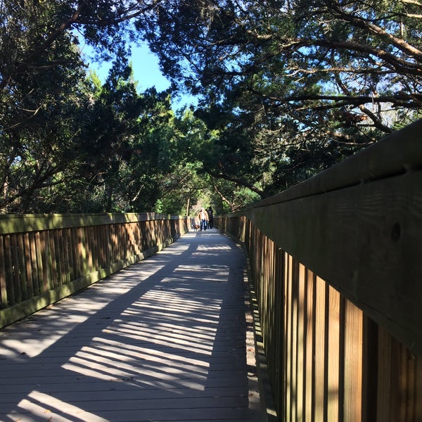 Ocean Hammock Park Walkway Trail in St Augustine