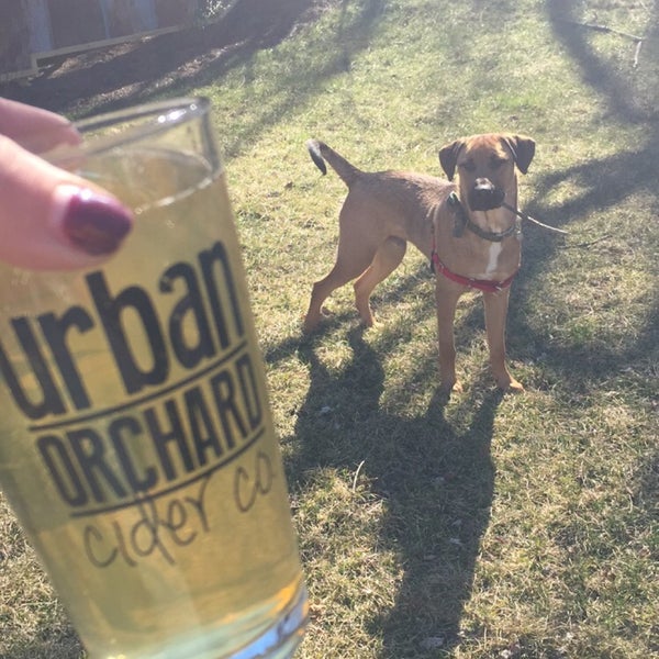 Photo taken at Urban Orchard Cider Co. by Ali P. on 2/8/2015