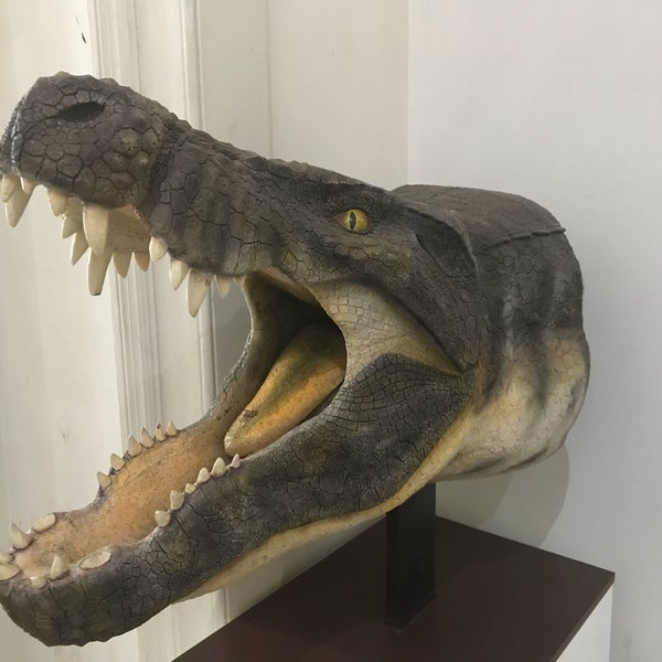 Museu de Ciências da Terra Museu de Ciências em Rio de Janeiro Museu de Ciências da Terra Museu de Ciências em Rio de Janeiro