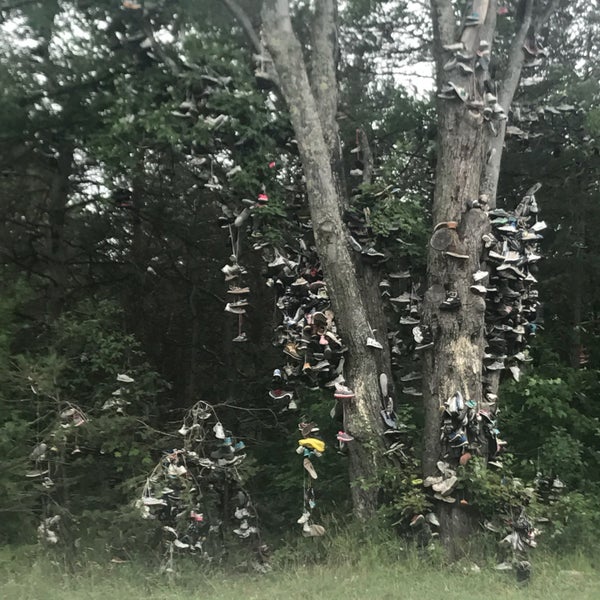 Shoe Tree On 131 Kalkaska, MI