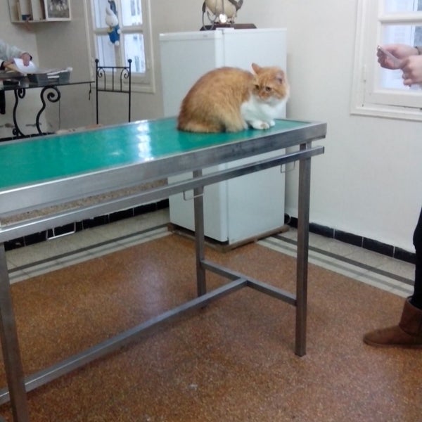 Zoo Clinique Veterinaire 1 Tip From 2 Visitors