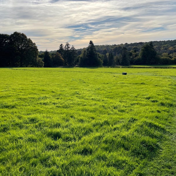 Coronation Meadow Garden in Haywards Heath