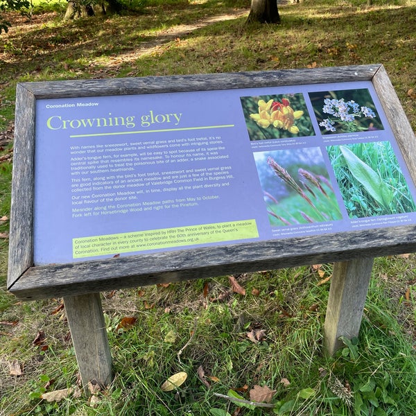 Coronation Meadow Garden in Haywards Heath