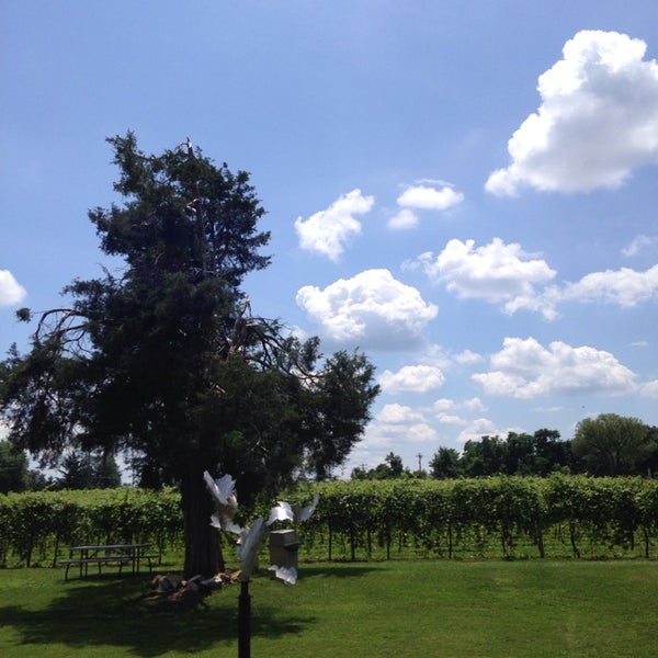 Das Foto wurde bei Buckingham Valley Vineyard &amp; Winery von Kristina W. am 6/28/2014 aufgenommen