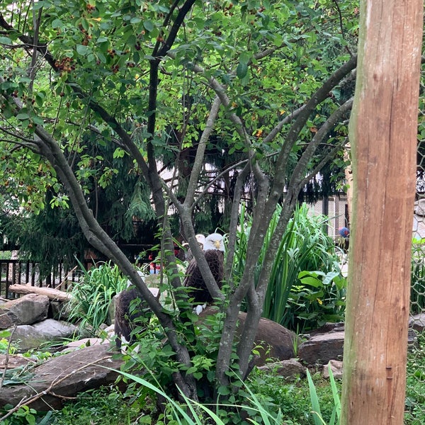 รูปภาพถ่ายที่ Elmwood Park Zoo โดย Retna S. เมื่อ 6/14/2021