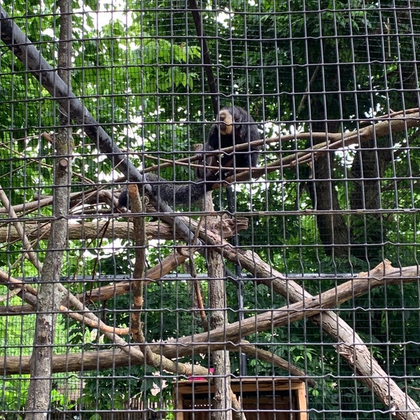 รูปภาพถ่ายที่ Elmwood Park Zoo โดย Retna S. เมื่อ 6/14/2021