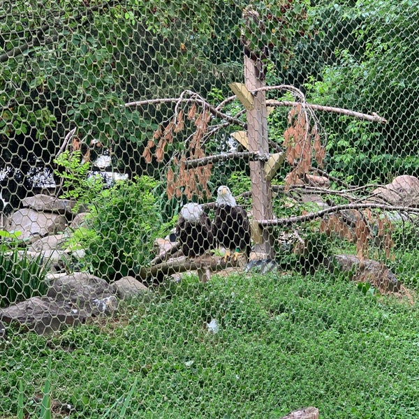 Foto tirada no(a) Elmwood Park Zoo por Retna S. em 6/14/2021