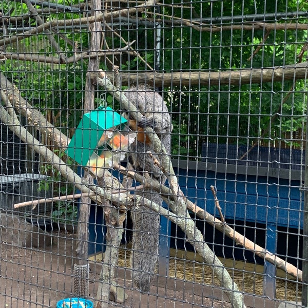 Снимок сделан в Elmwood Park Zoo пользователем Retna S. 6/14/2021