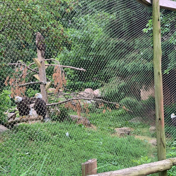 Das Foto wurde bei Elmwood Park Zoo von Retna S. am 6/14/2021 aufgenommen