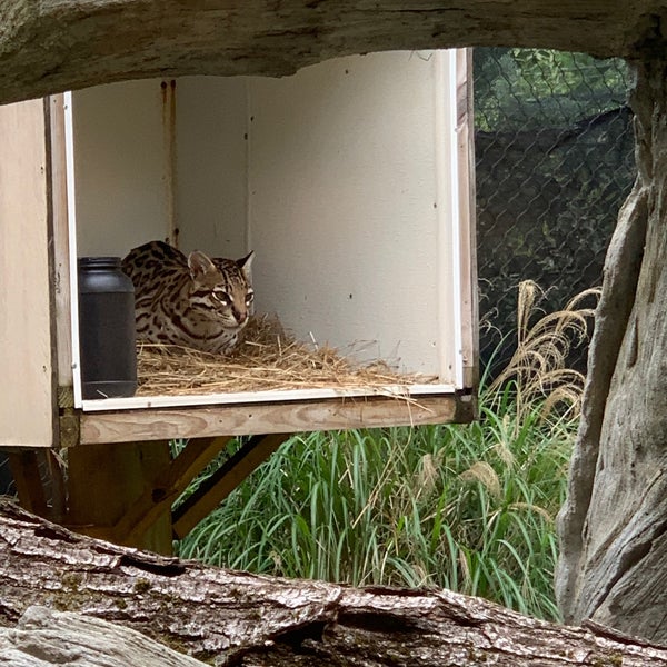 Photo prise au Elmwood Park Zoo par Retna S. le6/14/2021