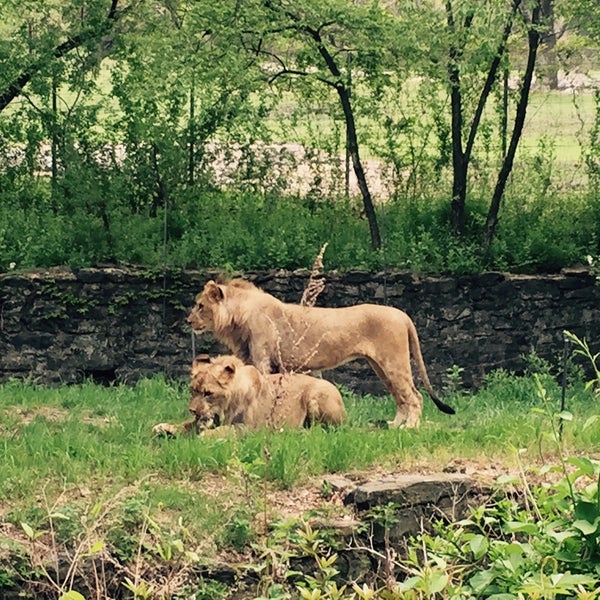 Foto tirada no(a) Bronx Zoo por Shelley H. em 5/9/2015