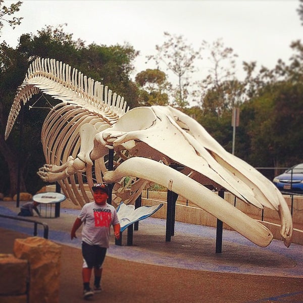 Photo taken at Santa Barbara Museum Of Natural History by J N. on 6/14/2015