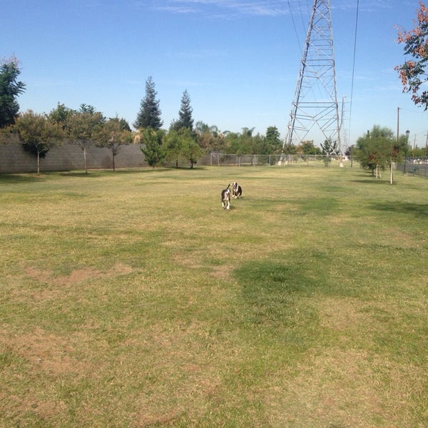 Krebs Dog Park Dog Park
