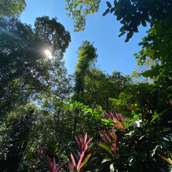 Foto diambil di Tropical Spice Garden oleh Joseph L. pada 12/8/2020
