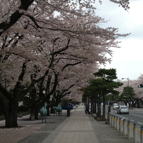 Photos At 十和田市官庁街通り 西二番町