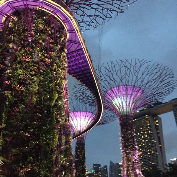 Photo taken at Gardens by the Bay by TheFlame E. on 6/14/2015