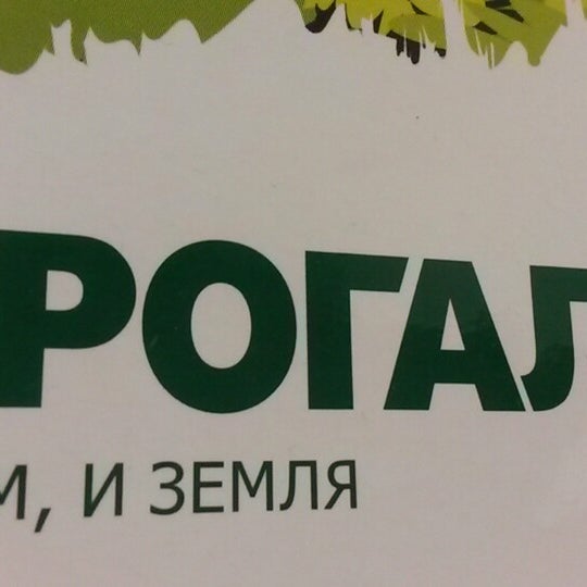 Прогали. Прогали