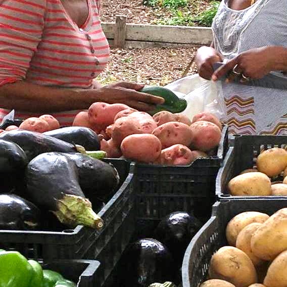 Photo prise au Kingsbridge-Riverdale Farmers&#39; Market par Kingsbridge-Riverdale Farmers&#39; Market le9/24/2013