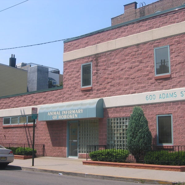 animal infirmary of hoboken hoboken nj